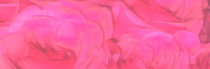 __QueenChriss's profile banner image