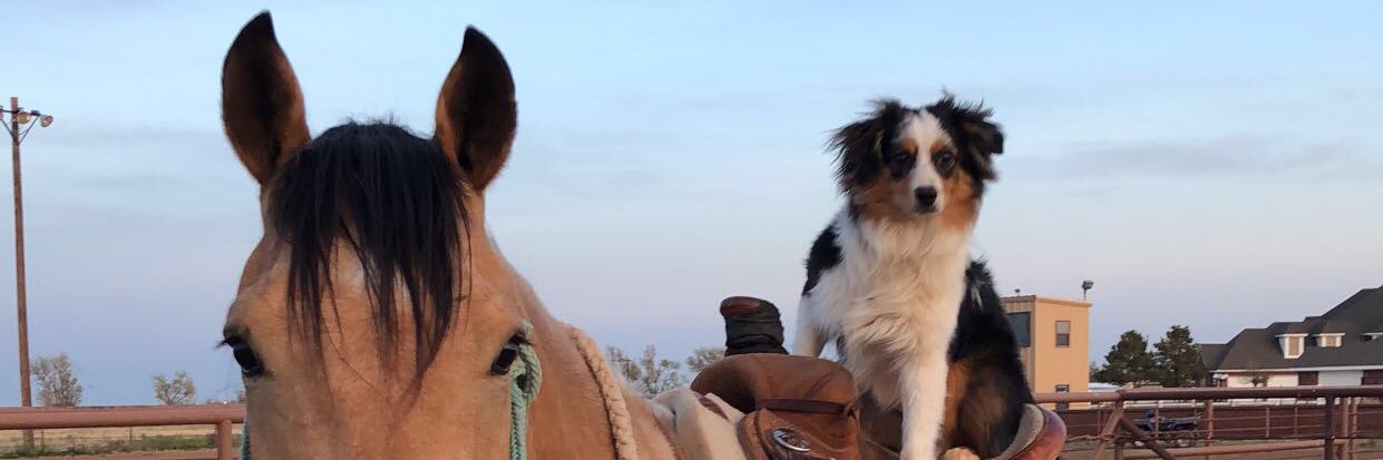 CatherineHisel's profile banner image