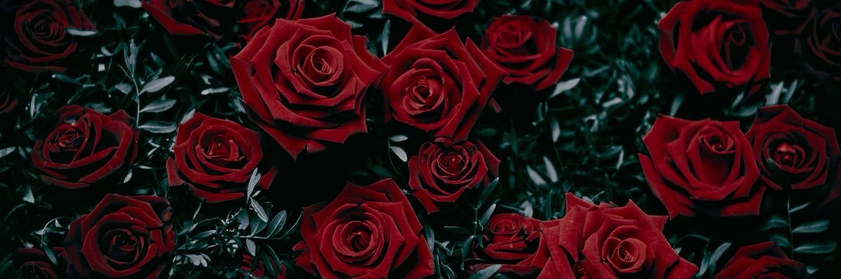 AngelMarie_1106's profile banner image