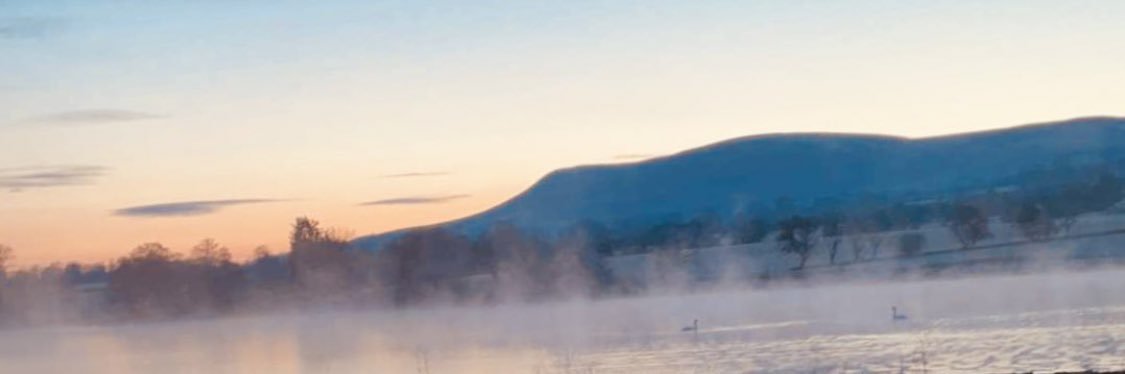 999Ingham's profile banner image