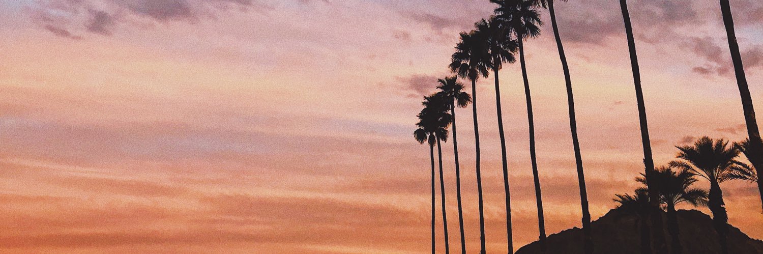 Scandinative's profile banner image