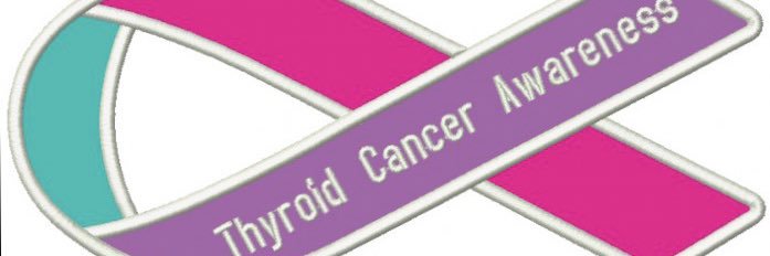 Mike Vorkapich banner