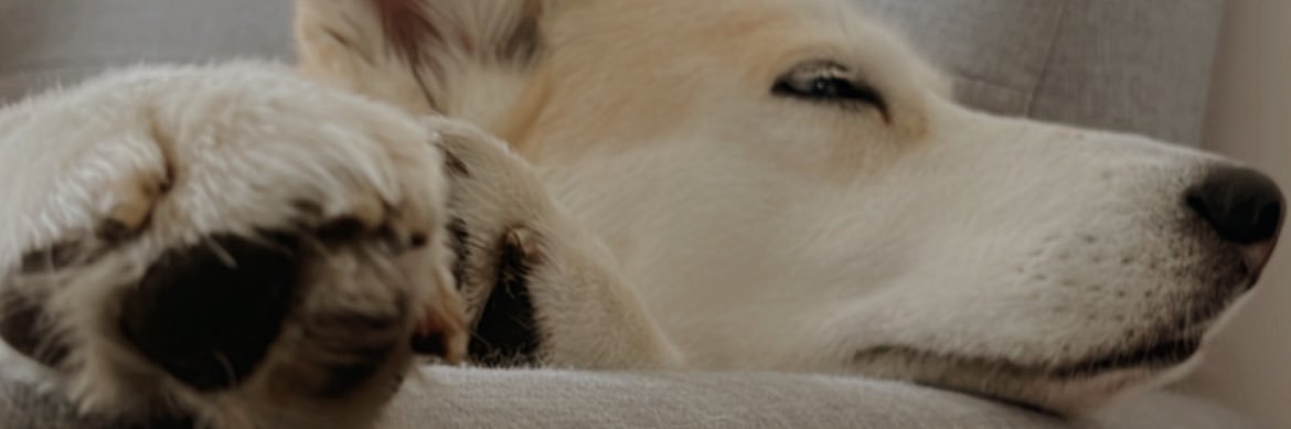 stuckwme18's profile banner image