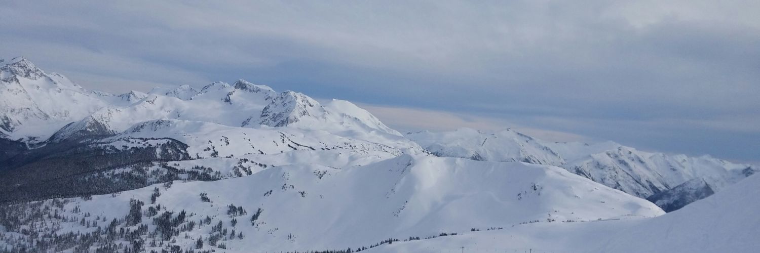TrevorNBruce07's profile banner image