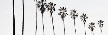 mxarrieta_'s profile banner image