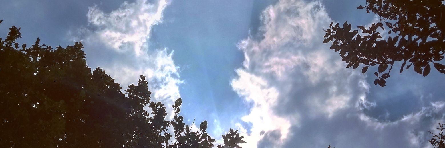 MonthzeGlez's profile banner image