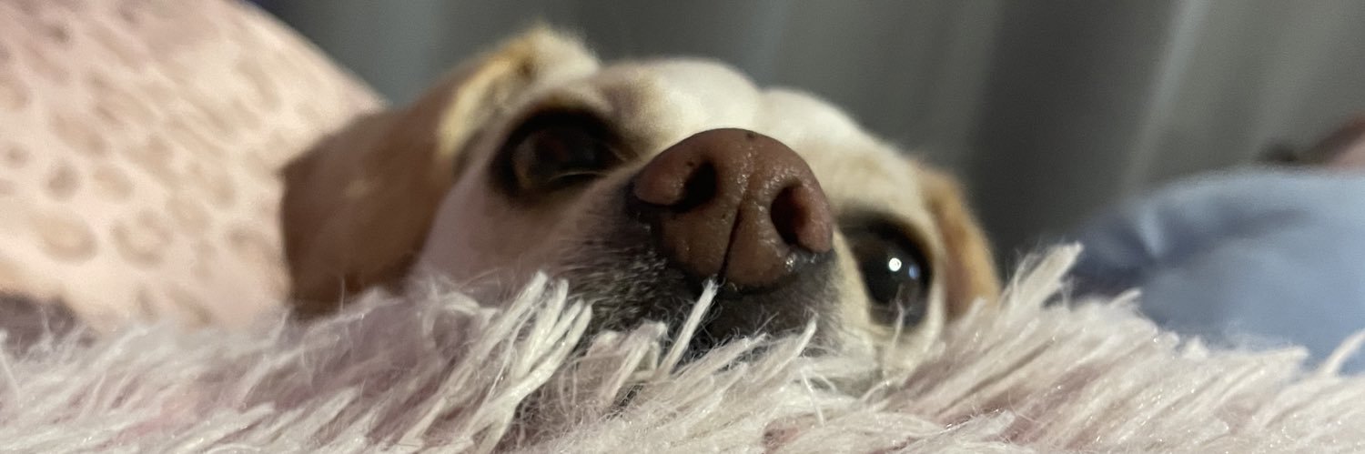 alinolan24's profile banner image