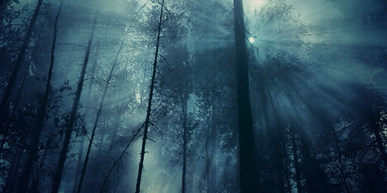 The Hunted banner