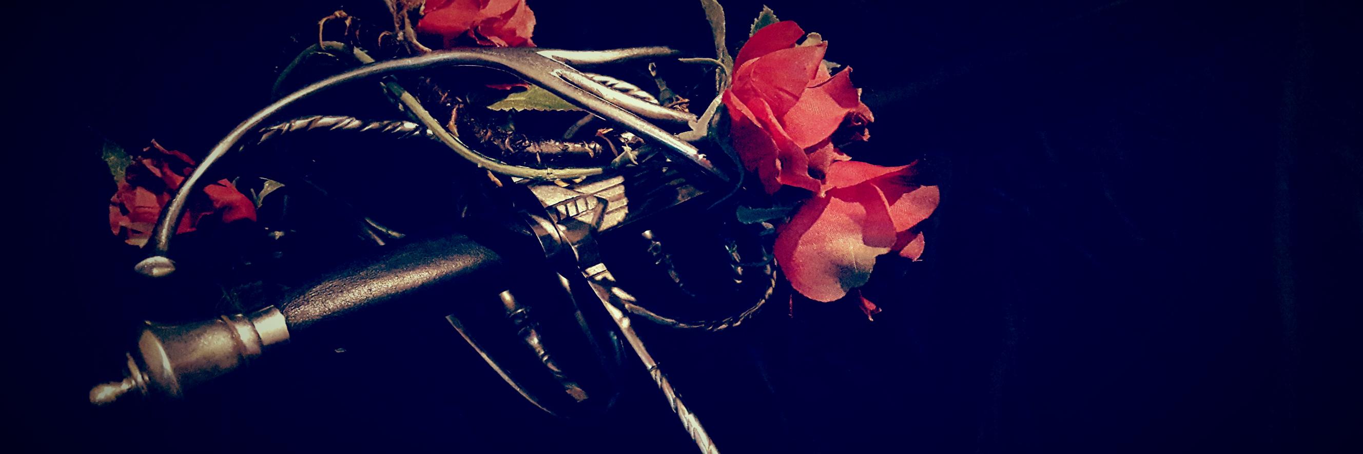 EleDeca banner