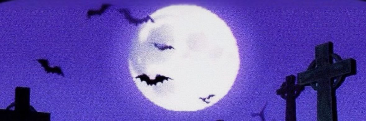Ghost111Girl's profile banner image
