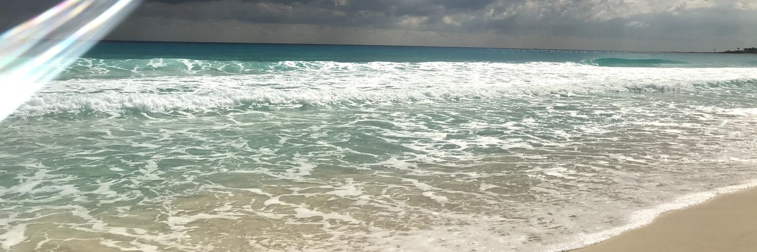 LauVe's profile banner image