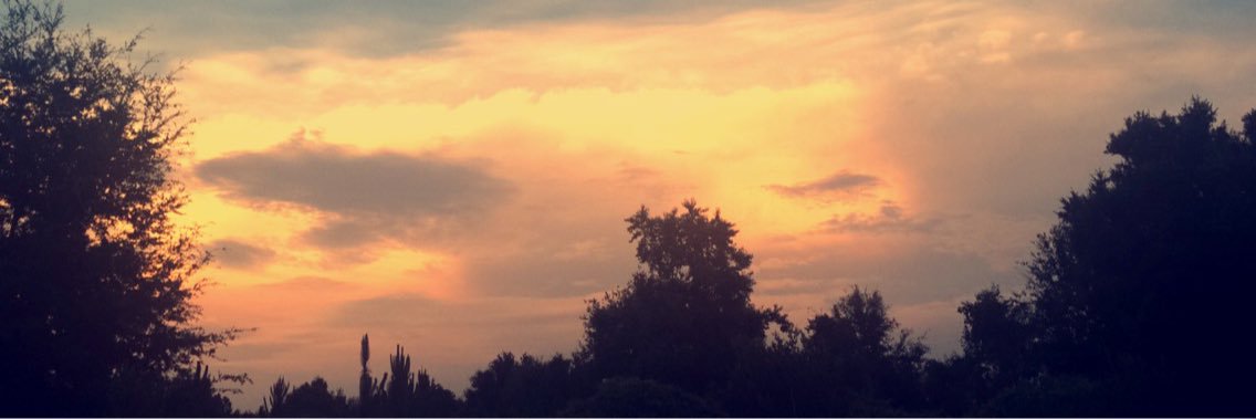 xo_KaylaRose's profile banner image
