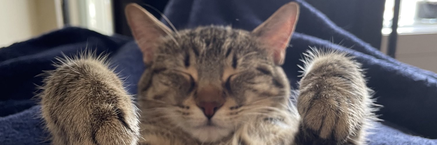TJ_Simer's profile banner image