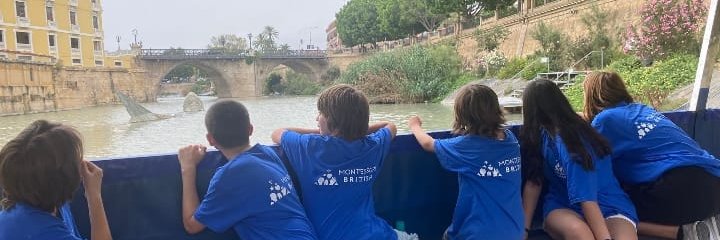 Montessori British banner
