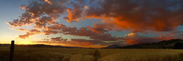 outdoorsceo Profile Banner