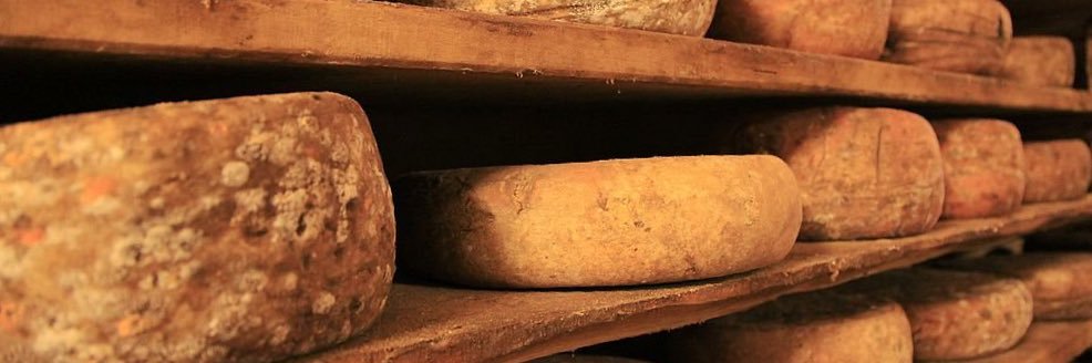vineacomala's profile banner image