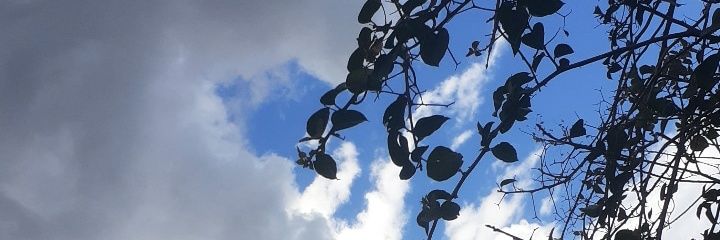 agus_gcs's profile banner image