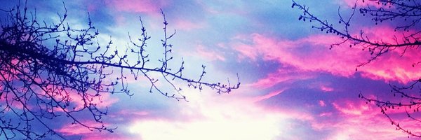 Samiejojo Profile Banner