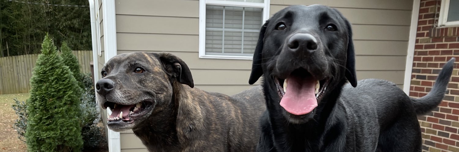 Andy Lancaster banner