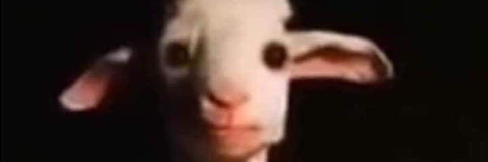 melablnc's profile banner image