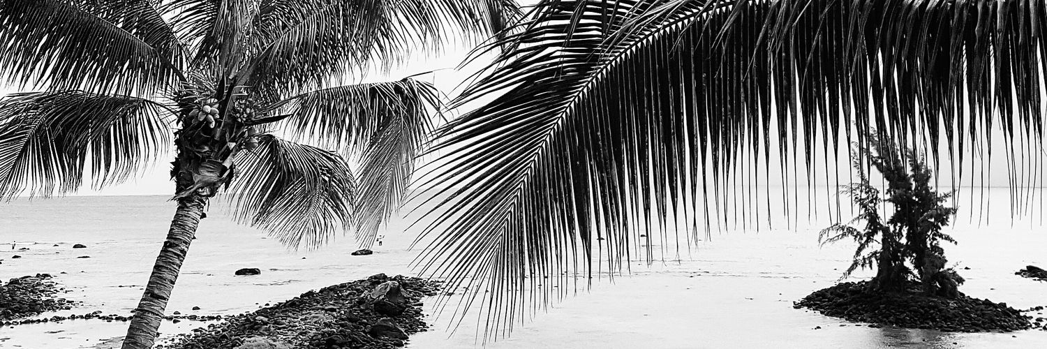 mlleshamini's profile banner image