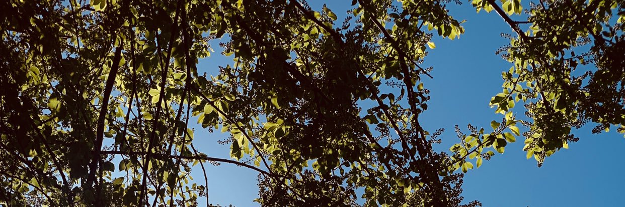 brandonh154's profile banner image