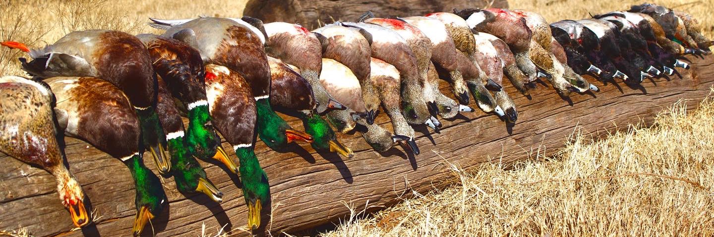 cooper_huff's profile banner image
