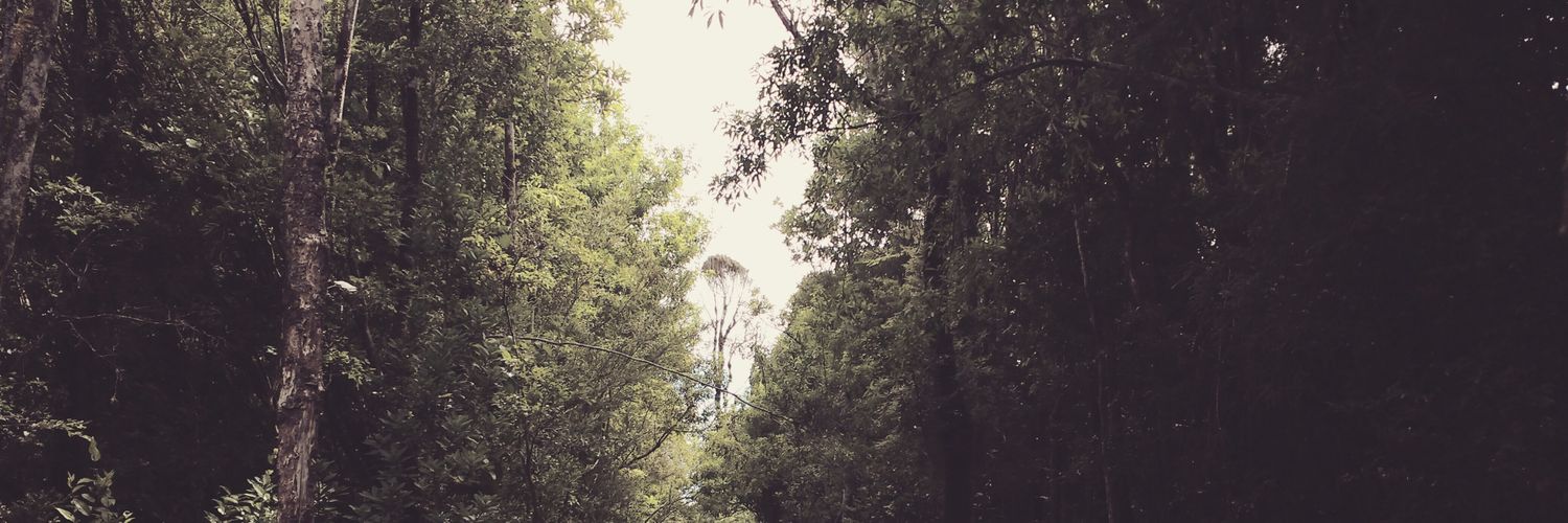 npseq's profile banner image