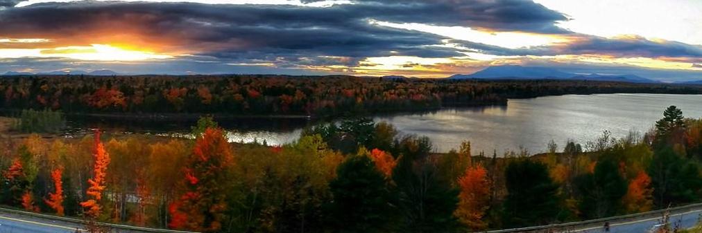 Travis Kennedy banner