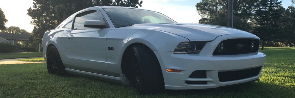 BandyMarc's profile banner image