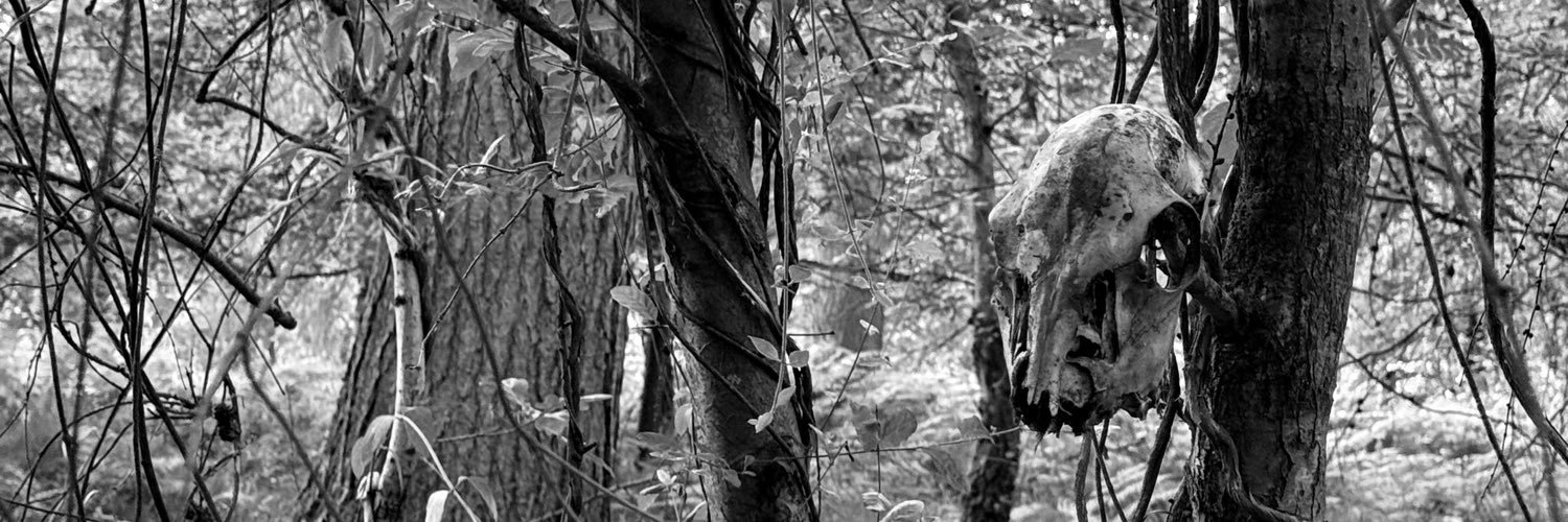 alexmarriott01's profile banner image