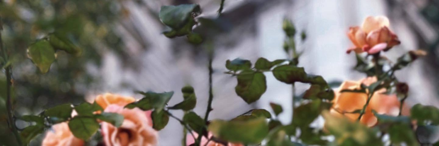 andinghou_'s profile banner image