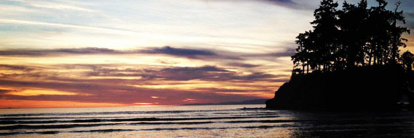 madisonfish31's profile banner image