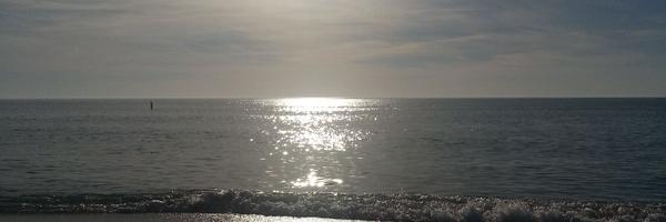 BZeser Profile Banner