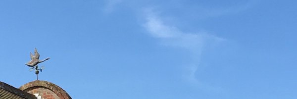 Greysealcoffee Profile Banner