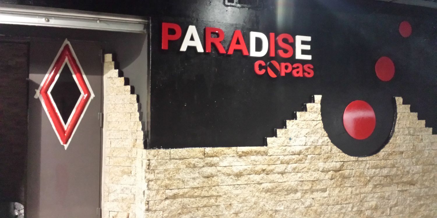 ParadiseCopas's profile banner image