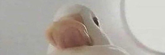 Nugget🩵💜 banner