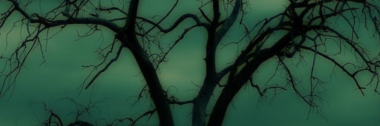 Jxs3y banner