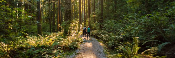 Yolanda Erburu banner