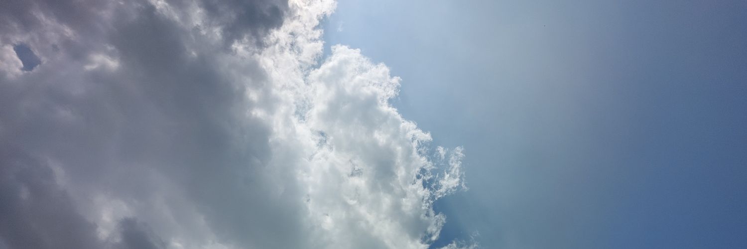 boyorgirlorboy's profile banner image