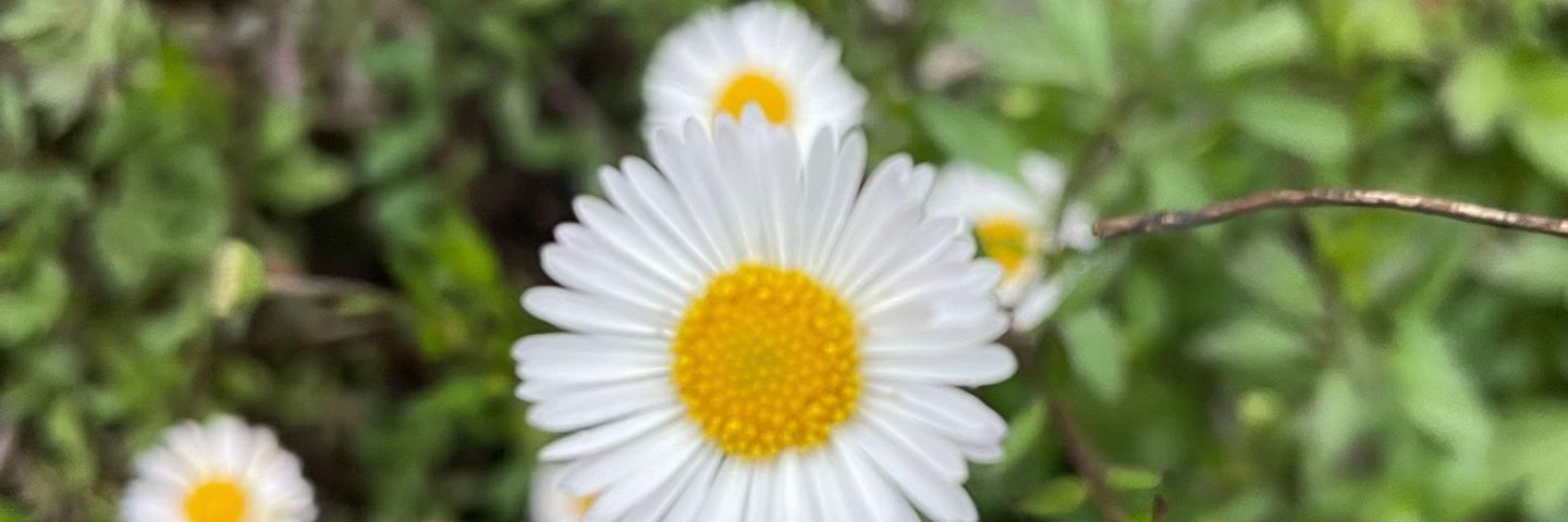 afika_cila's profile banner image