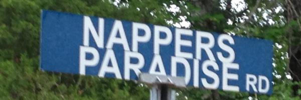 Laura_napier09 Profile Banner