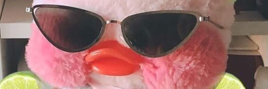123wowLele's profile banner image