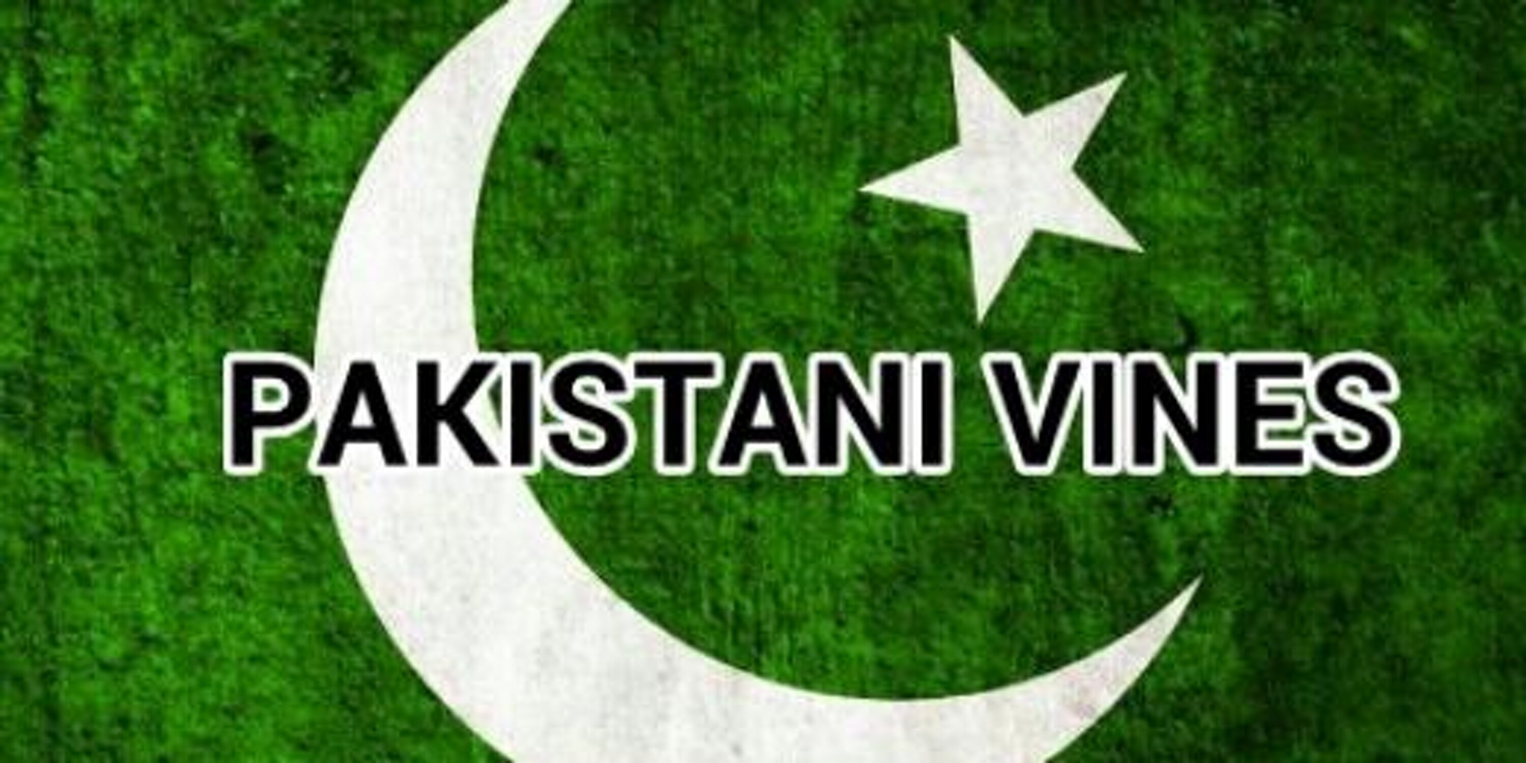 PakVines's profile banner image