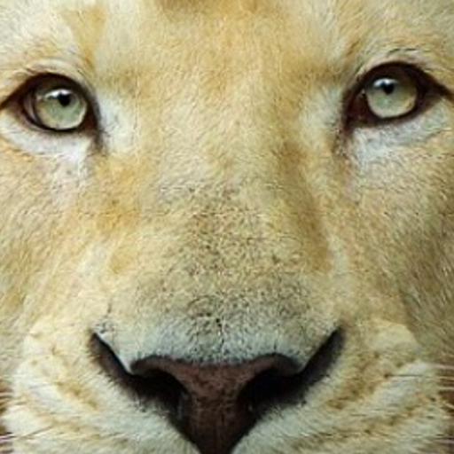 AngelowHickson's profile banner image