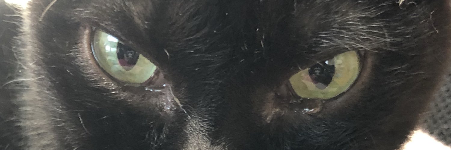 chiitanyan's profile banner image