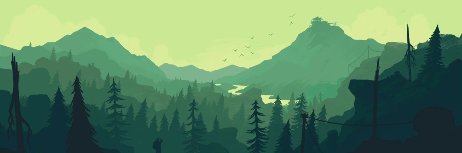 FreedomFreeque🇺🇸 banner
