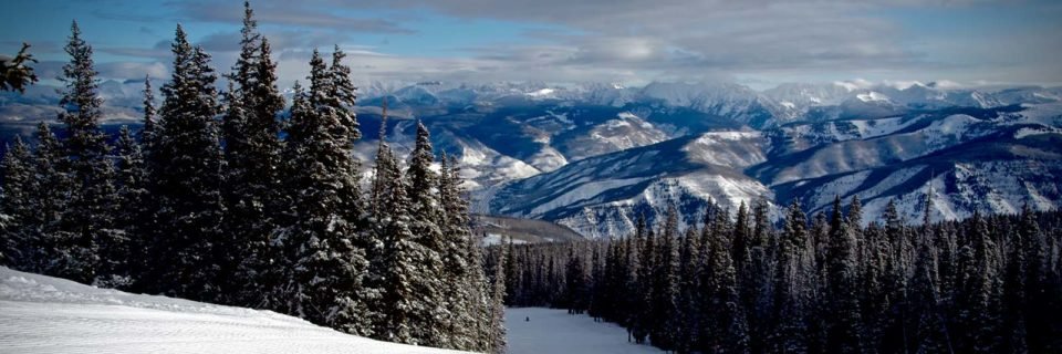 bkskis's profile banner image