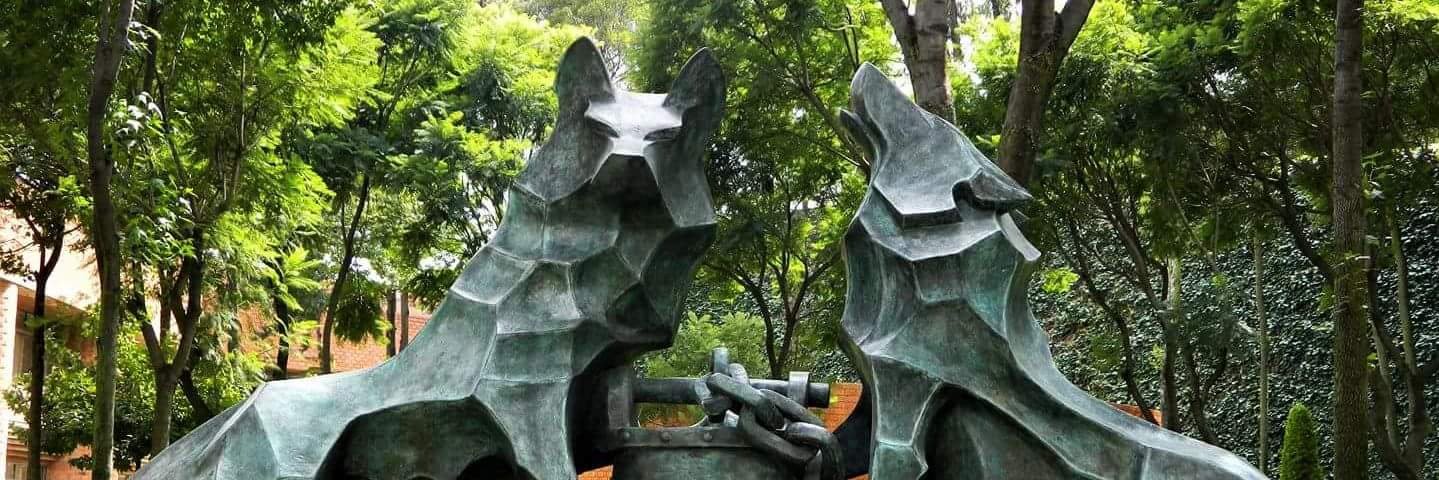 Salvador Olvera banner