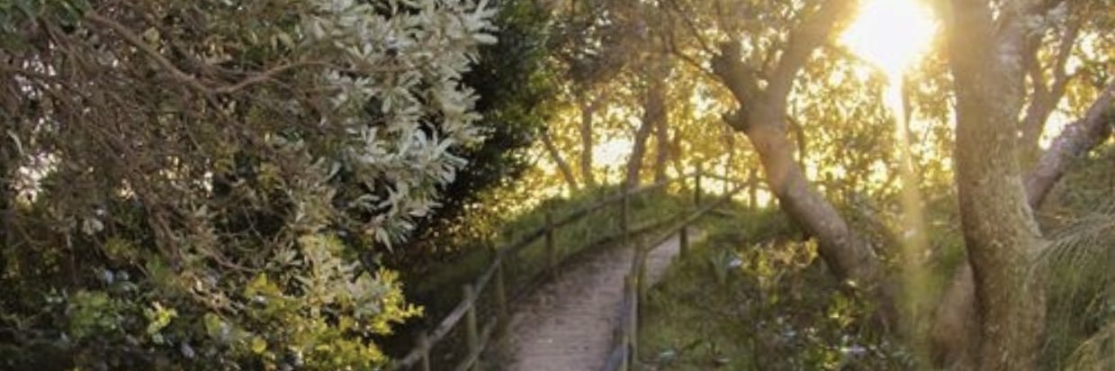 hadilic's profile banner image